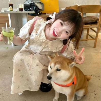 花颜劫